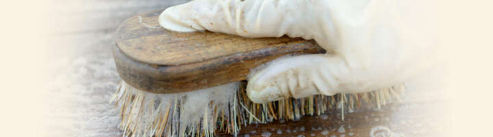 buersten kategorieeinstiegsbanner